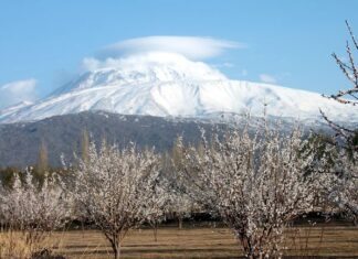 Evidence from the Final Siege