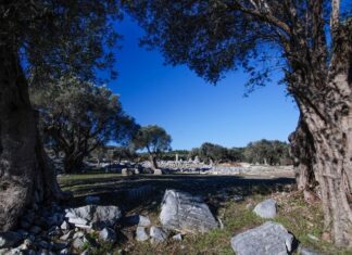 Hardworking and Skilled Peasants