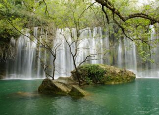 Egyptian Influence on Greek Religious Practices